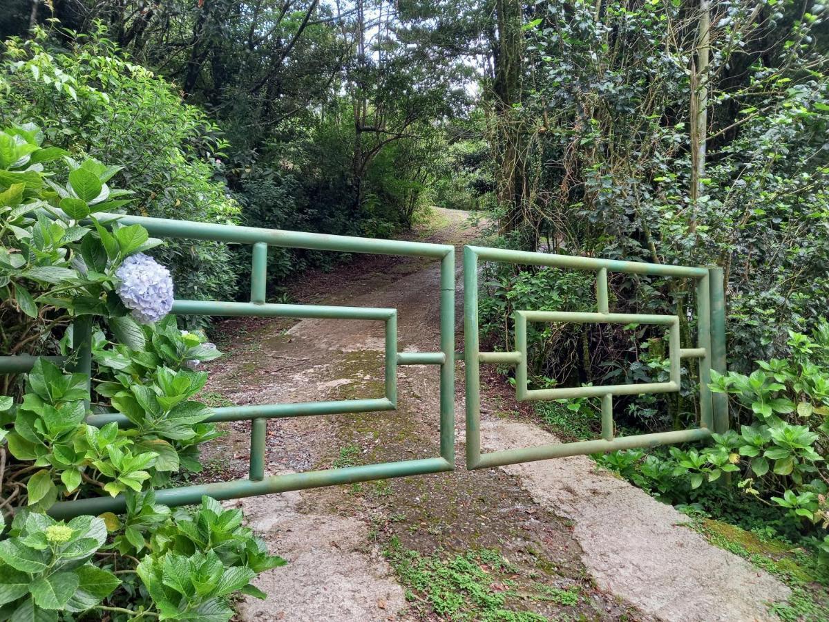 Casa De Montana Tica Linda Villa Monteverde Kültér fotó