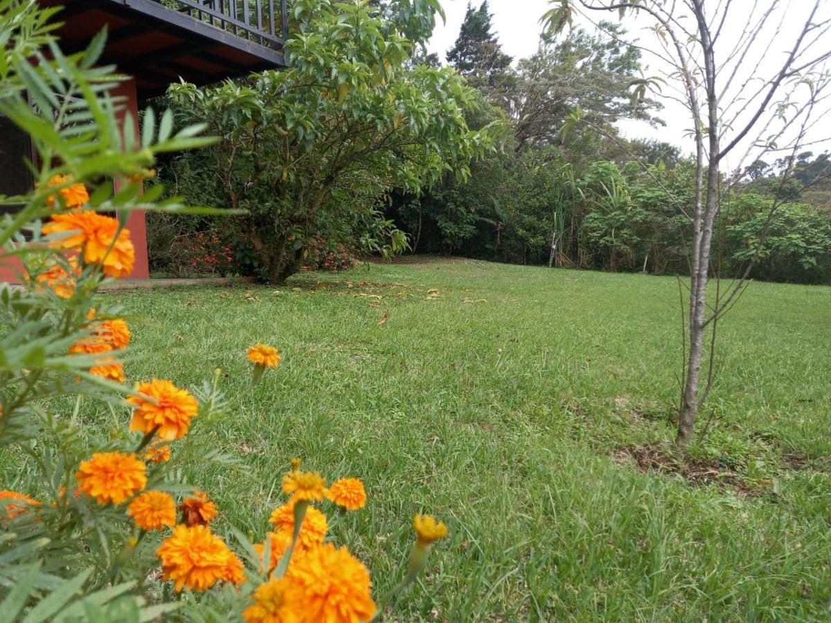 Casa De Montana Tica Linda Villa Monteverde Kültér fotó