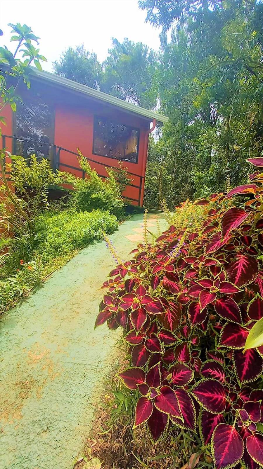 Casa De Montana Tica Linda Villa Monteverde Kültér fotó