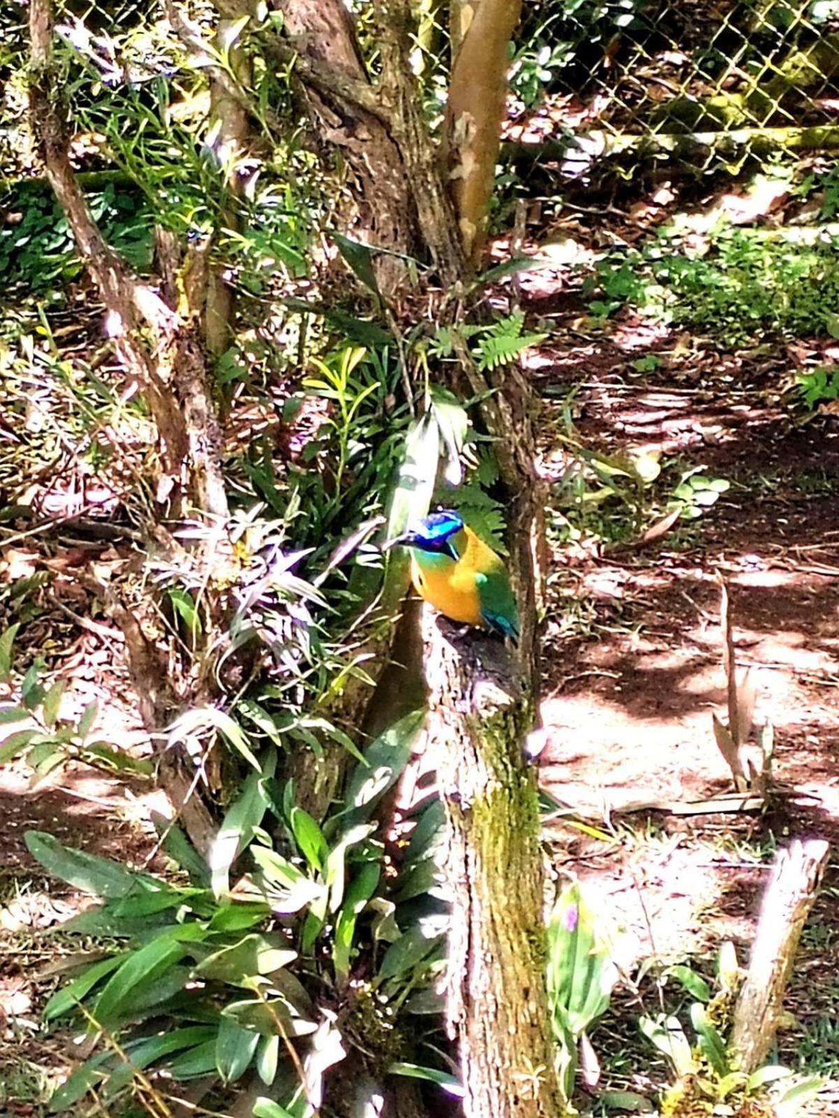 Casa De Montana Tica Linda Villa Monteverde Kültér fotó